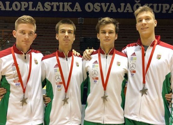 Ezüstérem Szerbiában