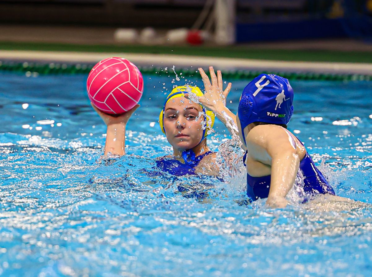 Ismét a III. Kerület ellen