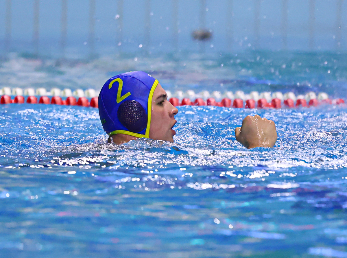 Rangadóra készülünk